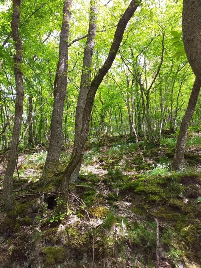 Eifelverweiler Weiler  Eksteriør billede